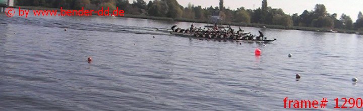 1290.jpg