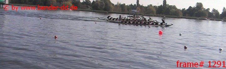 1291.jpg