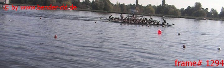 1294.jpg