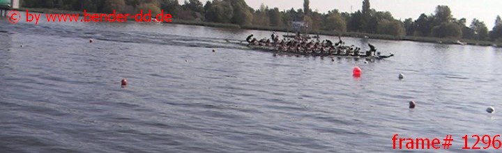 1296.jpg