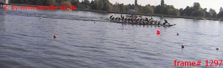 1297.jpg