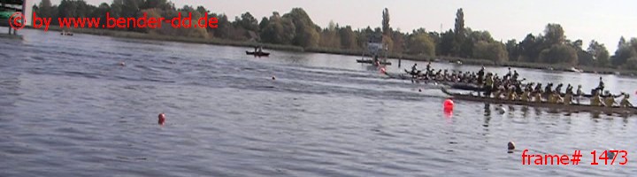 1473.jpg